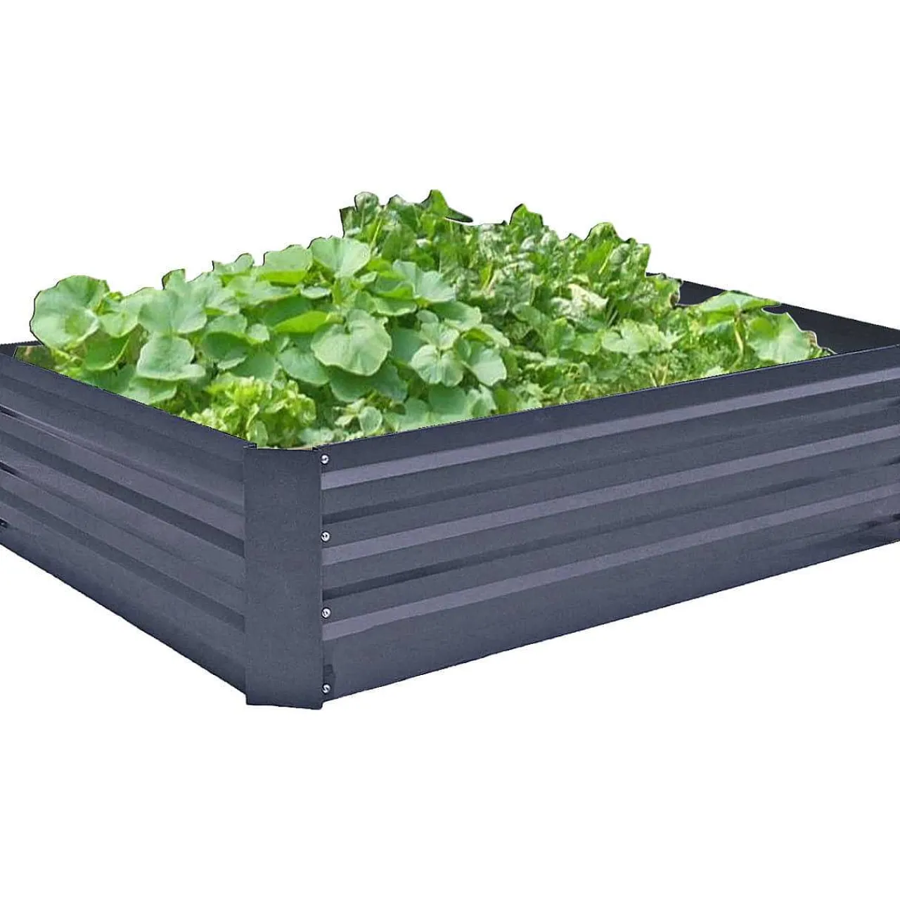 mutoni pleasure Beetumrandung Botanika Stahl Anthrazit> Gartenvasen Und Pflanzkübel