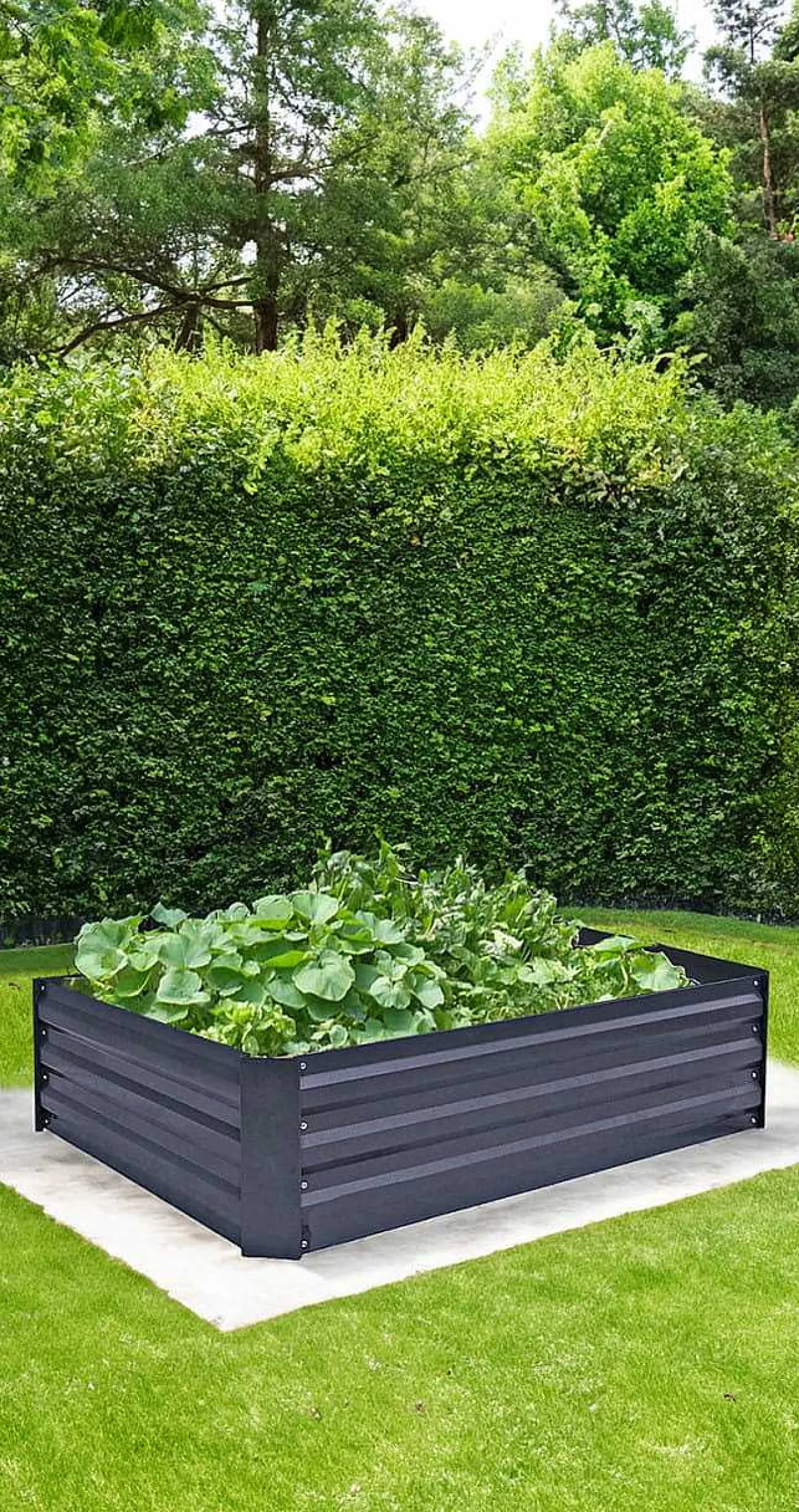 mutoni pleasure Beetumrandung Botanika Stahl Anthrazit> Gartenvasen Und Pflanzkübel