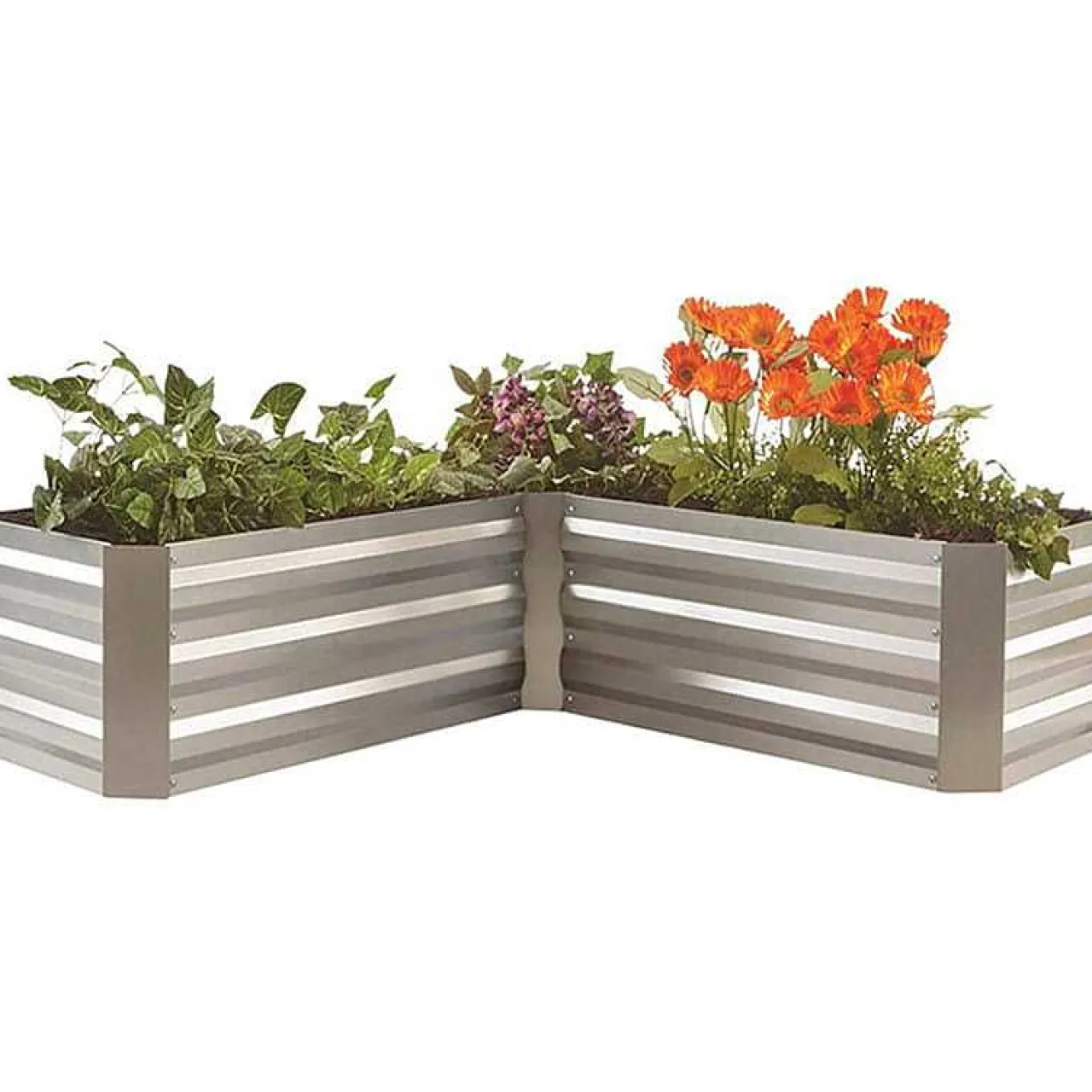 mutoni pleasure Beetumrandung Magnolia Stahl Silber L-Form> Gartenvasen Und Pflanzkübel