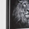 mutoni lifestyle Bild Evidence Lion 42X43> Glasbilder