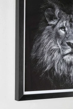 mutoni lifestyle Bild Evidence Lion 42X43> Glasbilder
