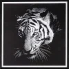 mutoni lifestyle Bild Evidence Tiger 43X43> Glasbilder