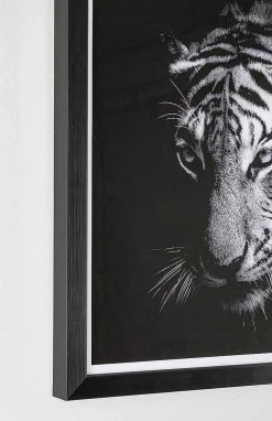 mutoni lifestyle Bild Evidence Tiger 43X43> Glasbilder