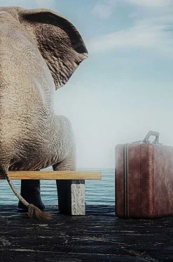 KARE Design Glasbild Elephant Journey 60X40> Glasbilder
