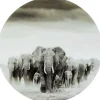 KARE Design Glasbild Elephant Walk Rund 120> Glasbilder
