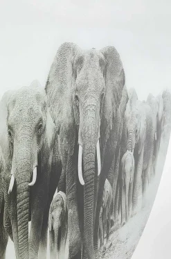 KARE Design Glasbild Elephant Walk Rund 120> Glasbilder