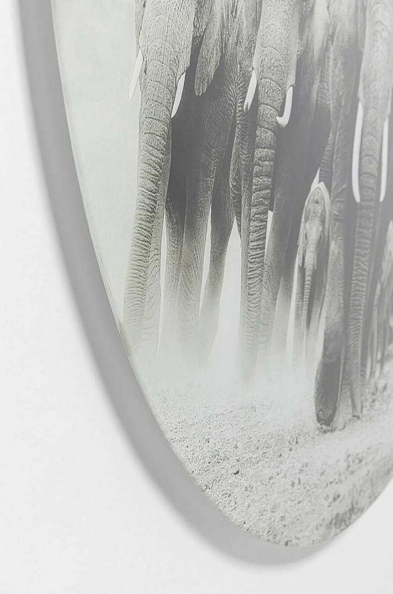 KARE Design Glasbild Elephant Walk Rund 120> Glasbilder