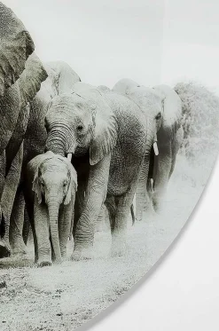KARE Design Glasbild Elephant Walk Rund 120><noscript><img width=