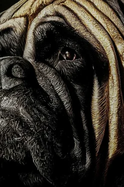 KARE Design Glasbild King Pug 40X60><noscript><img width=