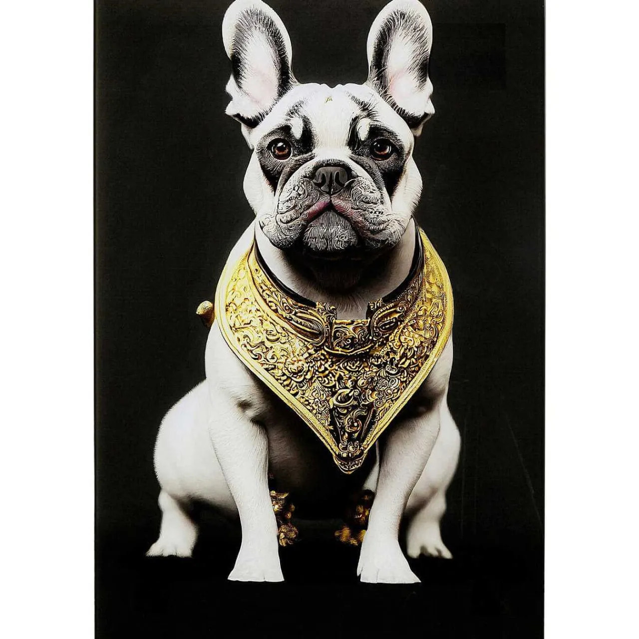 KARE Design Glasbild Noble Dog 40X60> Glasbilder