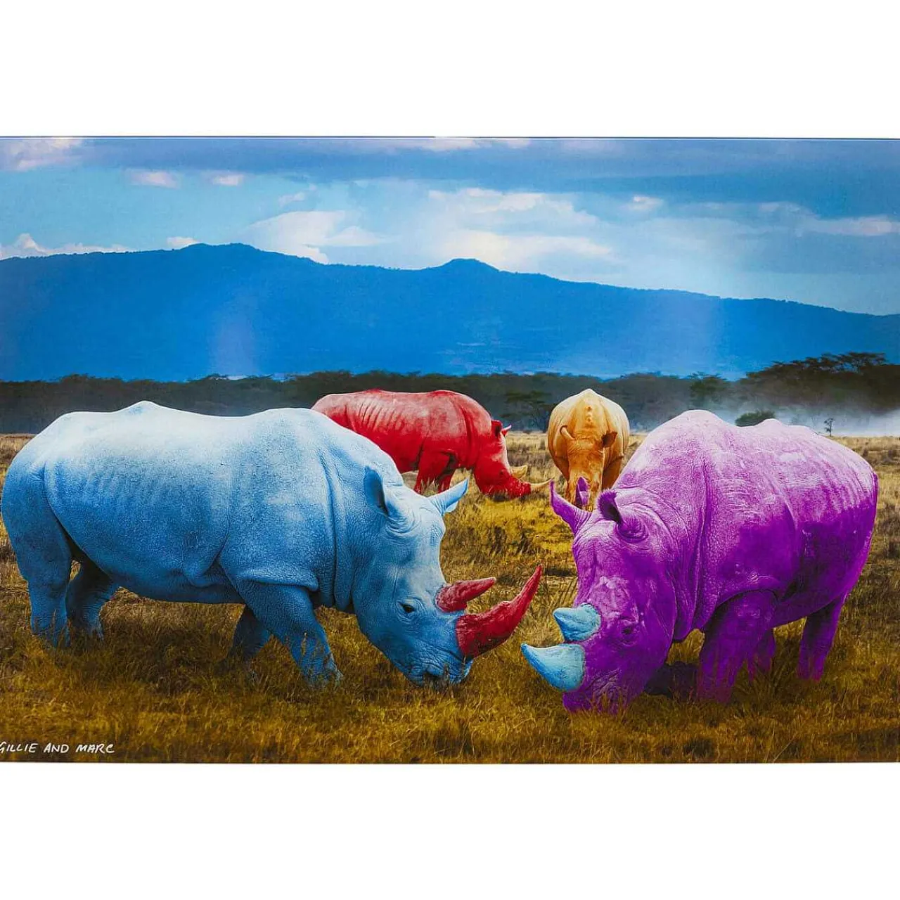 KARE Design Glasbild Rhino Colore 120X80> Glasbilder