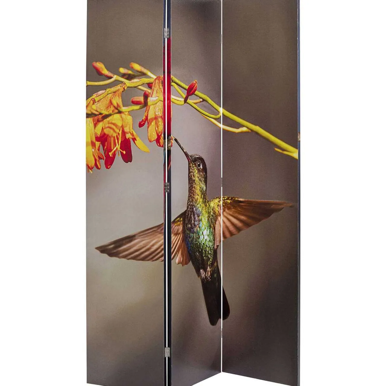 KARE Design Paravent Twin Parrot Vs Cute Colibri 120X180> Paravents