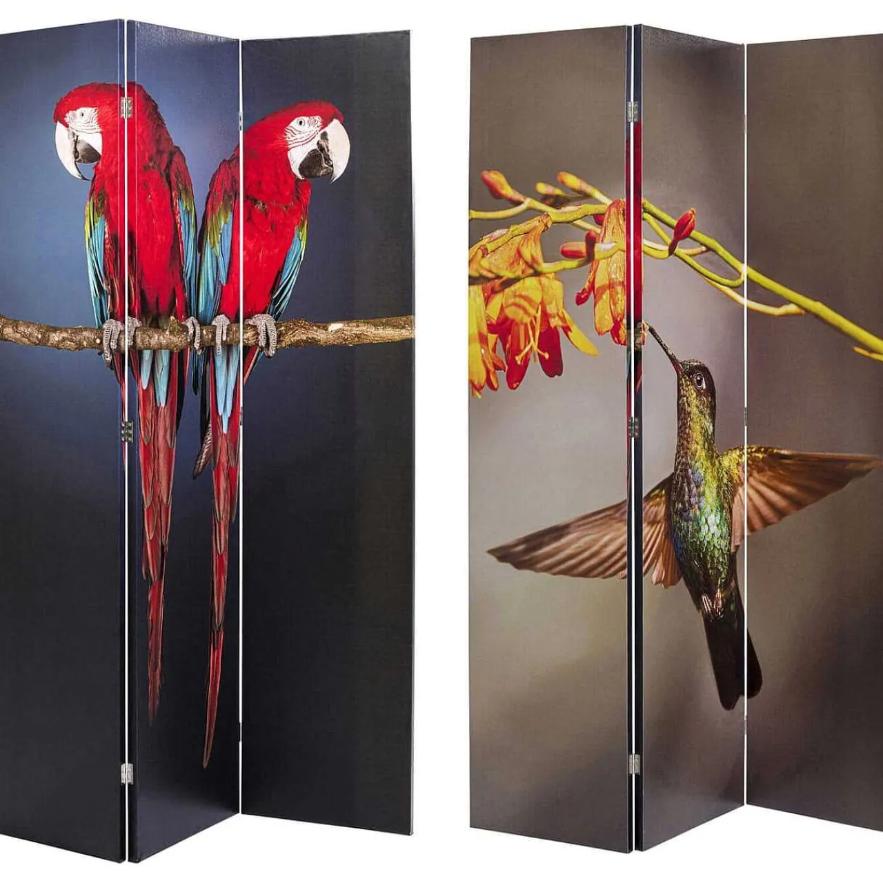 KARE Design Paravent Twin Parrot Vs Cute Colibri 120X180> Paravents