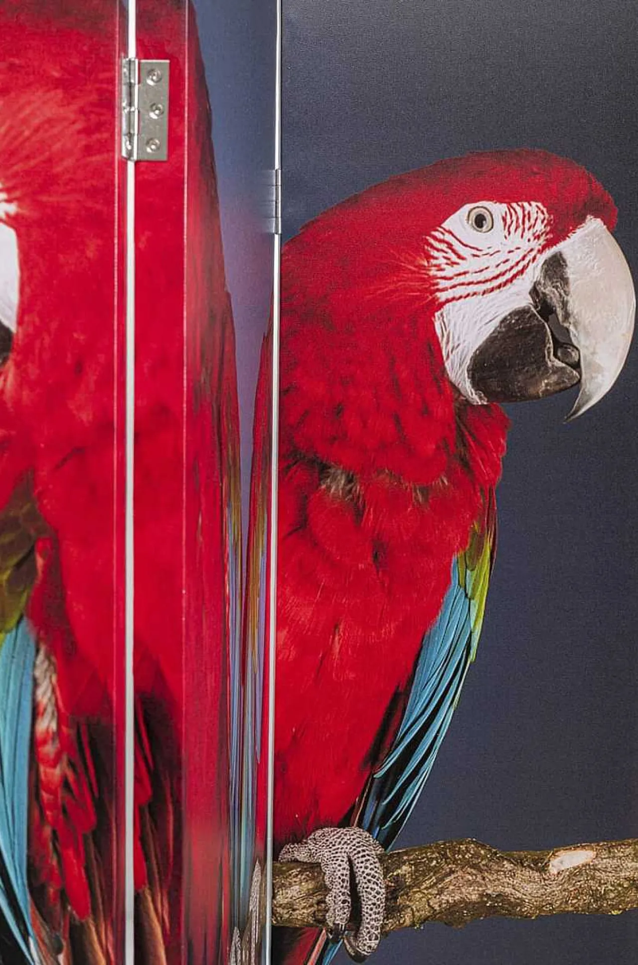 KARE Design Paravent Twin Parrot Vs Cute Colibri 120X180> Paravents