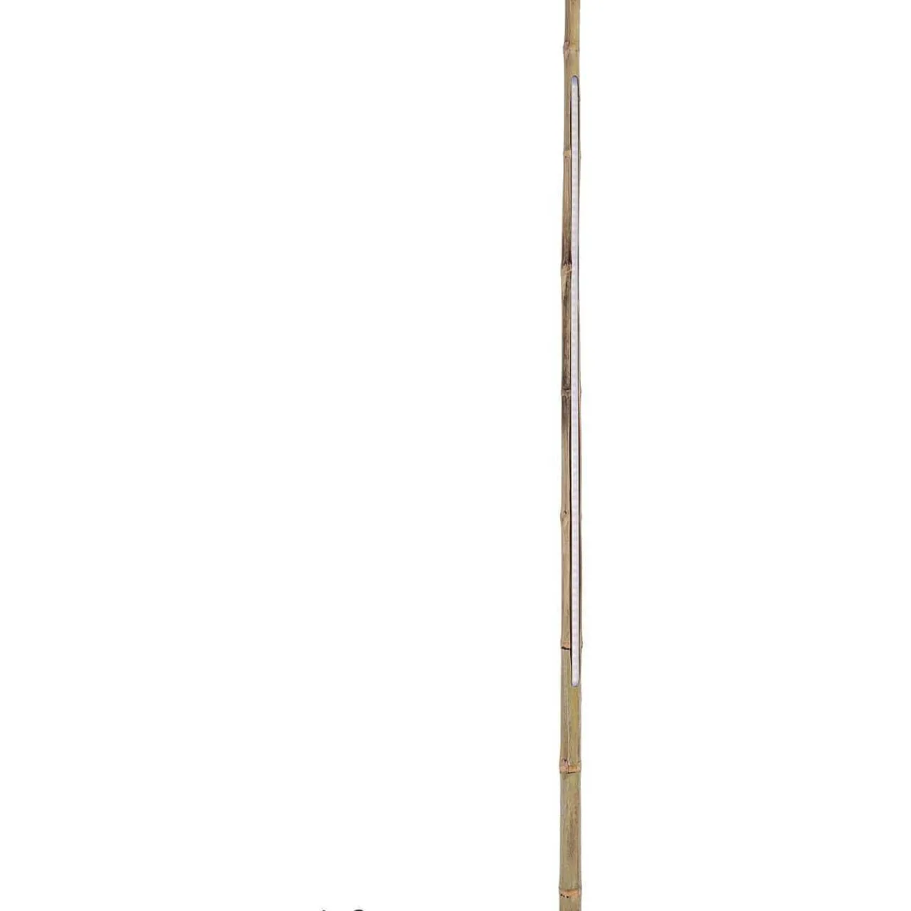 mutoni lifestyle Stehlampe Led Bambusrohr Hohe 200> Led-Stehleuchten