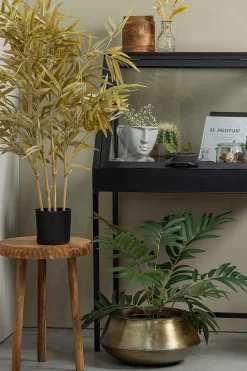 mutoni living Vitrinenkasten Dido Schwarz 65X109> Vitrinen