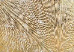 mutoni inspiration Wand-Deko Gold 90> Wanddekoration