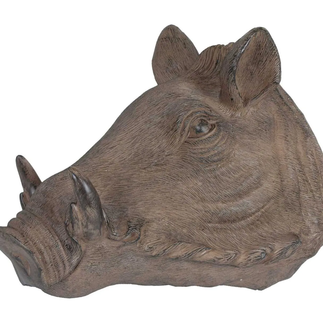 mutoni pleasure Wanddekoration Wildschweinkopf Quasar Antikbraun> Wanddekoration
