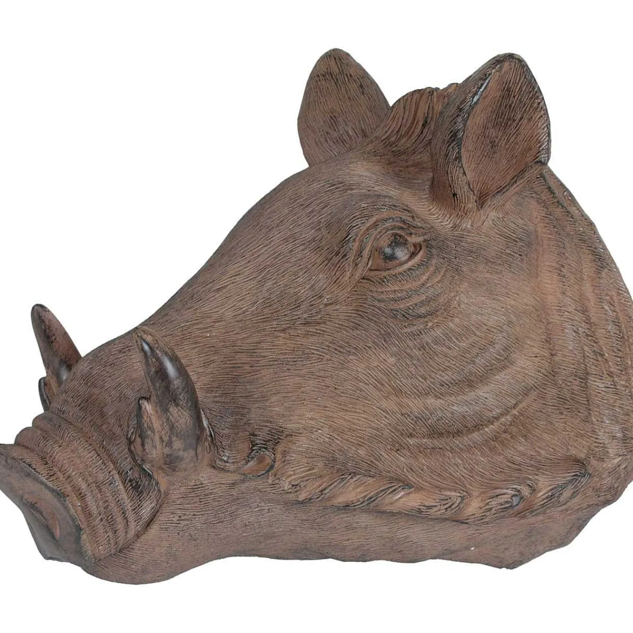 mutoni pleasure Wanddekoration Wildschweinkopf Quasar Antikbraun> Wanddekoration